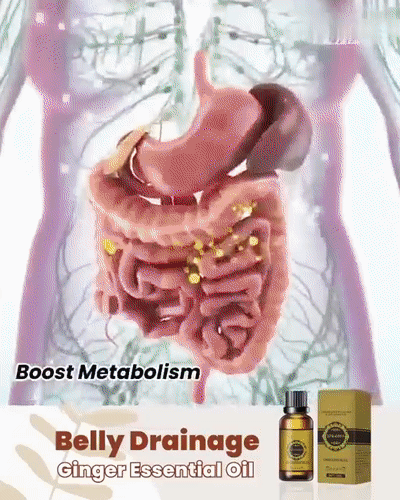 Belly Drainage Herbal Ginger Oil
